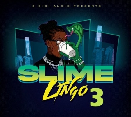 3 Digi Audio Slime Lingo 3 WAV